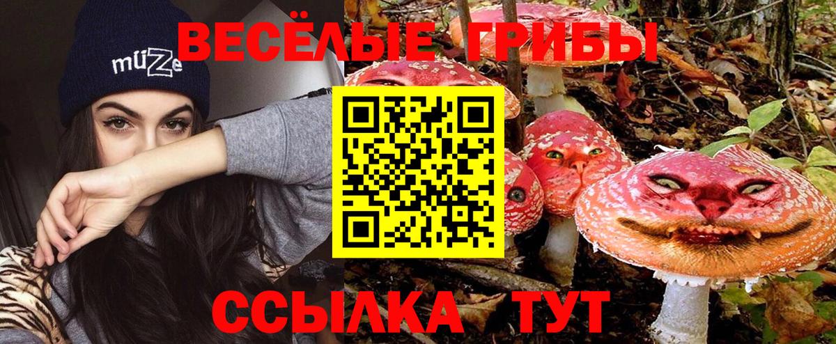 Псилоцибиновые грибы Psilocybine cubensis Тула
